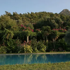 antik-zeytin-hotel-art-boutique-class.aegeanhotels.net/
